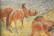 Grazing Horses I